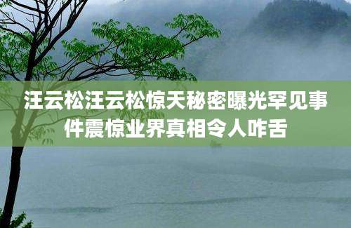 汪云松汪云松惊天秘密曝光罕见事件震惊业界真相令人咋舌