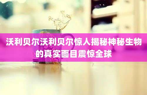沃利贝尔沃利贝尔惊人揭秘神秘生物的真实面目震惊全球
