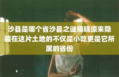 沙县是哪个省沙县之谜揭晓原来隐藏在这片土地的不仅是小吃更是它所属的省份