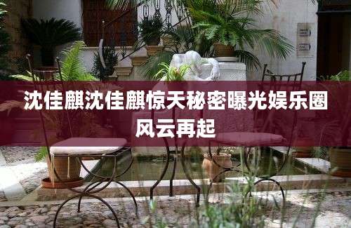 沈佳麒沈佳麒惊天秘密曝光娱乐圈风云再起