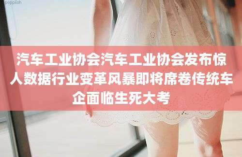 汽车工业协会汽车工业协会发布惊人数据行业变革风暴即将席卷传统车企面临生死大考
