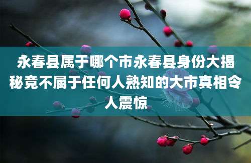 永春县属于哪个市永春县身份大揭秘竟不属于任何人熟知的大市真相令人震惊