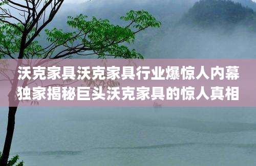 沃克家具沃克家具行业爆惊人内幕独家揭秘巨头沃克家具的惊人真相