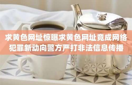求黄色网址惊曝求黄色网址竟成网络犯罪新动向警方严打非法信息传播