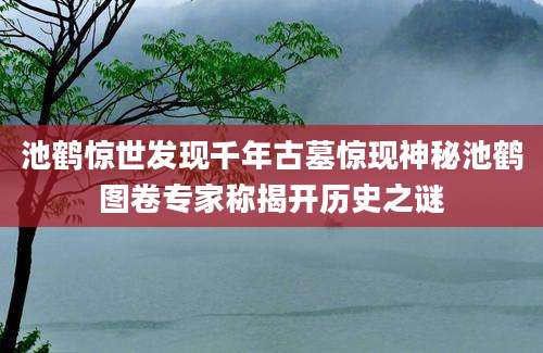 池鹤惊世发现千年古墓惊现神秘池鹤图卷专家称揭开历史之谜