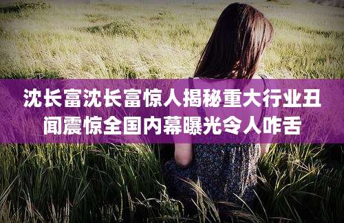 沈长富沈长富惊人揭秘重大行业丑闻震惊全国内幕曝光令人咋舌