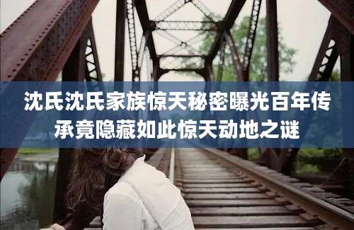 沈氏沈氏家族惊天秘密曝光百年传承竟隐藏如此惊天动地之谜