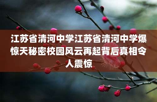江苏省清河中学江苏省清河中学爆惊天秘密校园风云再起背后真相令人震惊