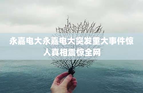 永嘉电大永嘉电大突发重大事件惊人真相震惊全网