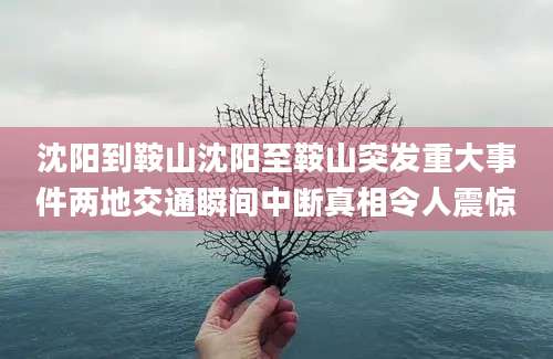 沈阳到鞍山沈阳至鞍山突发重大事件两地交通瞬间中断真相令人震惊