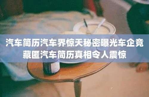 汽车简历汽车界惊天秘密曝光车企竟藏匿汽车简历真相令人震惊