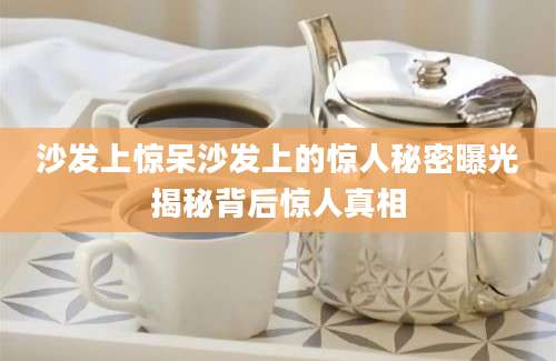 沙发上惊呆沙发上的惊人秘密曝光揭秘背后惊人真相
