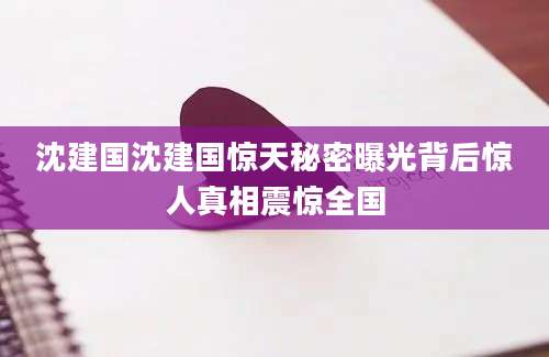 沈建国沈建国惊天秘密曝光背后惊人真相震惊全国