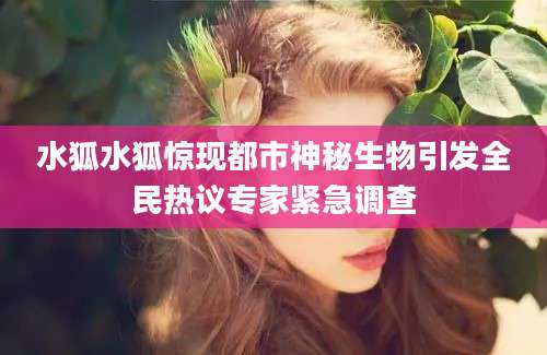 水狐水狐惊现都市神秘生物引发全民热议专家紧急调查