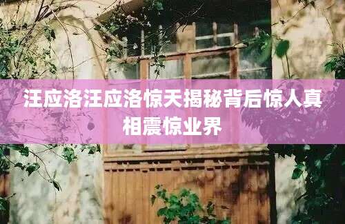 汪应洛汪应洛惊天揭秘背后惊人真相震惊业界
