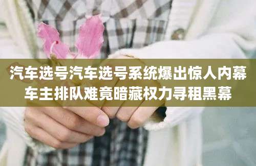 汽车选号汽车选号系统爆出惊人内幕车主排队难竟暗藏权力寻租黑幕