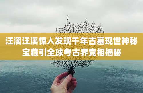 汪溪汪溪惊人发现千年古墓现世神秘宝藏引全球考古界竞相揭秘
