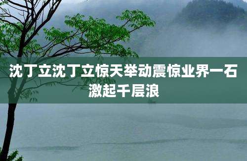 沈丁立沈丁立惊天举动震惊业界一石激起千层浪