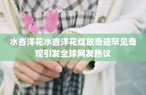 水杏洋花水杏洋花绽放奇迹罕见奇观引发全球网友热议