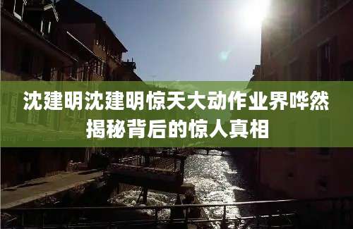 沈建明沈建明惊天大动作业界哗然揭秘背后的惊人真相