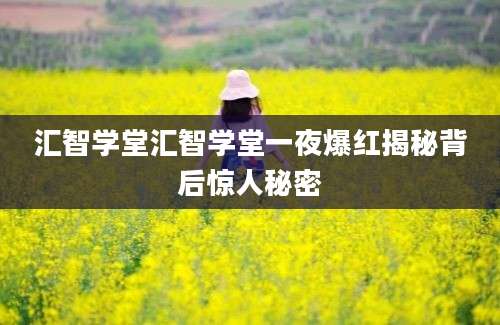汇智学堂汇智学堂一夜爆红揭秘背后惊人秘密