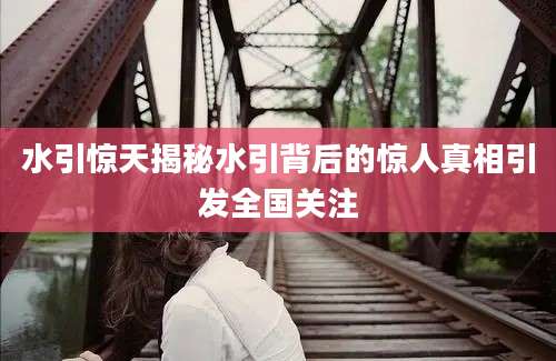 水引惊天揭秘水引背后的惊人真相引发全国关注