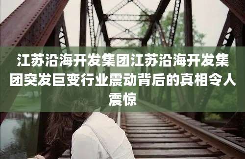 江苏沿海开发集团江苏沿海开发集团突发巨变行业震动背后的真相令人震惊