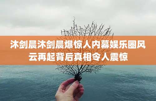 沐剑晨沐剑晨爆惊人内幕娱乐圈风云再起背后真相令人震惊