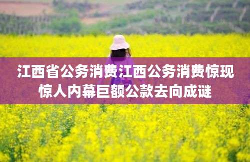 江西省公务消费江西公务消费惊现惊人内幕巨额公款去向成谜