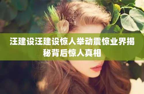 汪建设汪建设惊人举动震惊业界揭秘背后惊人真相