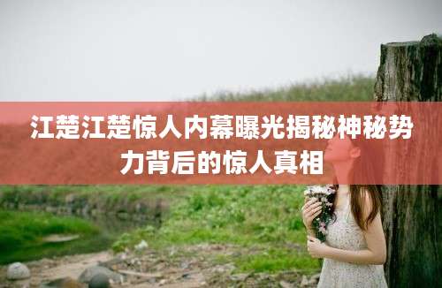江楚江楚惊人内幕曝光揭秘神秘势力背后的惊人真相