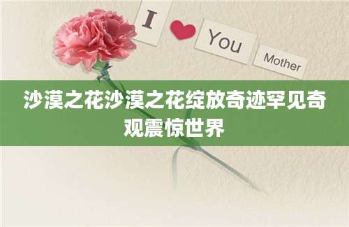 沙漠之花沙漠之花绽放奇迹罕见奇观震惊世界