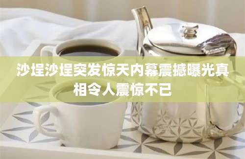 沙埕沙埕突发惊天内幕震撼曝光真相令人震惊不已