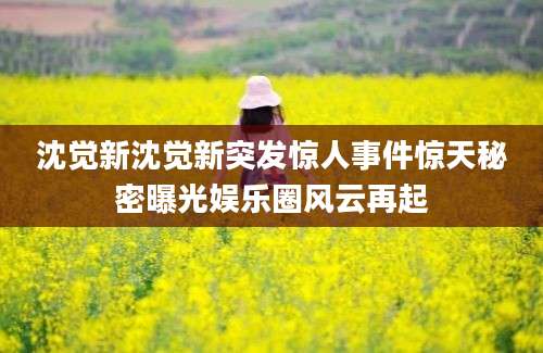 沈觉新沈觉新突发惊人事件惊天秘密曝光娱乐圈风云再起