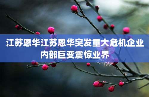 江苏恩华江苏恩华突发重大危机企业内部巨变震惊业界