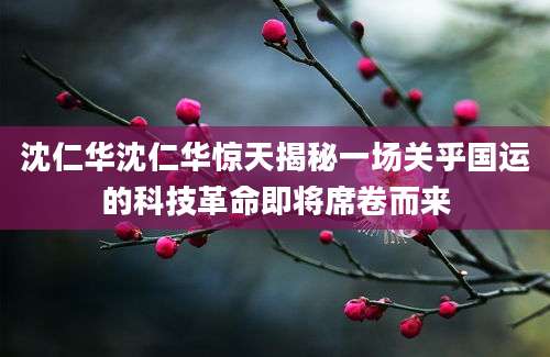 沈仁华沈仁华惊天揭秘一场关乎国运的科技革命即将席卷而来