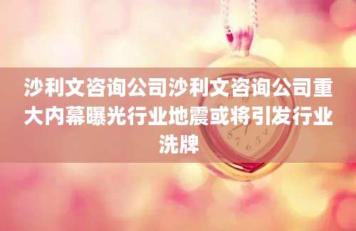 沙利文咨询公司沙利文咨询公司重大内幕曝光行业地震或将引发行业洗牌
