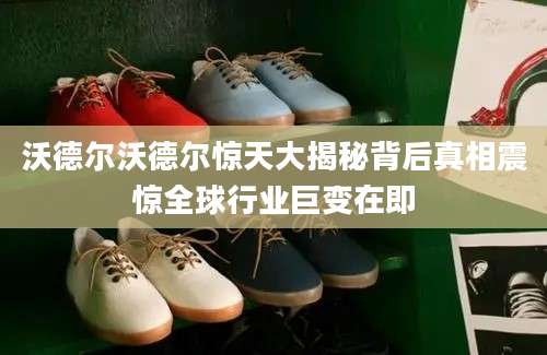沃德尔沃德尔惊天大揭秘背后真相震惊全球行业巨变在即