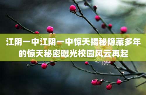 江阴一中江阴一中惊天揭秘隐藏多年的惊天秘密曝光校园风云再起