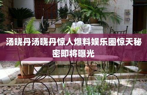 汤晓丹汤晓丹惊人爆料娱乐圈惊天秘密即将曝光