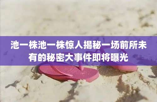 池一株池一株惊人揭秘一场前所未有的秘密大事件即将曝光