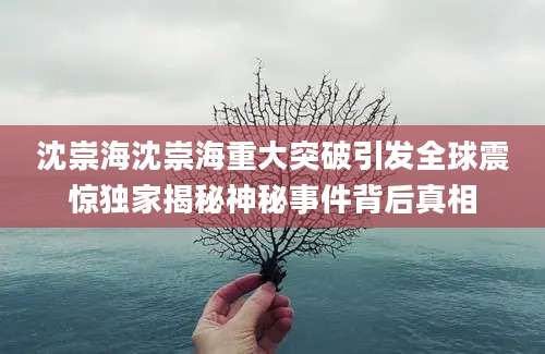 沈崇海沈崇海重大突破引发全球震惊独家揭秘神秘事件背后真相