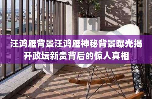 汪鸿雁背景汪鸿雁神秘背景曝光揭开政坛新贵背后的惊人真相