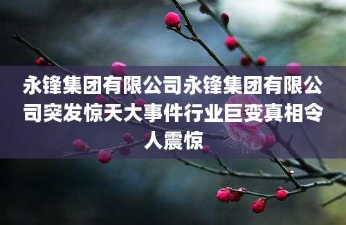 永锋集团有限公司永锋集团有限公司突发惊天大事件行业巨变真相令人震惊