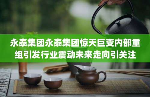 永泰集团永泰集团惊天巨变内部重组引发行业震动未来走向引关注