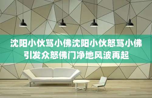 沈阳小伙骂小佛沈阳小伙怒骂小佛引发众怒佛门净地风波再起