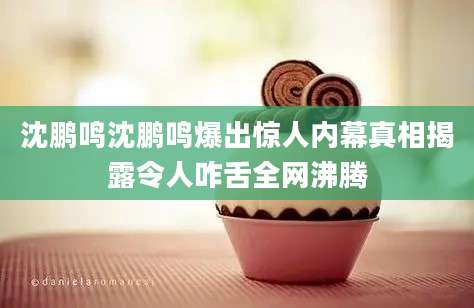 沈鹏鸣沈鹏鸣爆出惊人内幕真相揭露令人咋舌全网沸腾