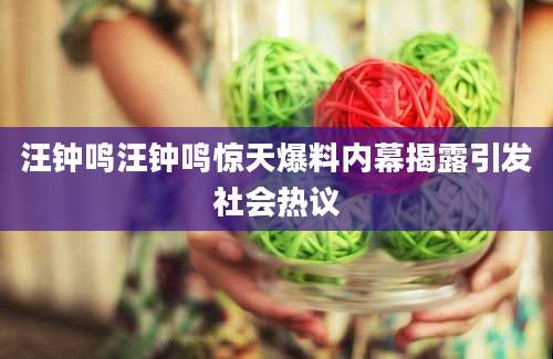 汪钟鸣汪钟鸣惊天爆料内幕揭露引发社会热议