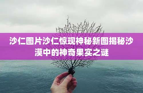沙仁图片沙仁惊现神秘新图揭秘沙漠中的神奇果实之谜