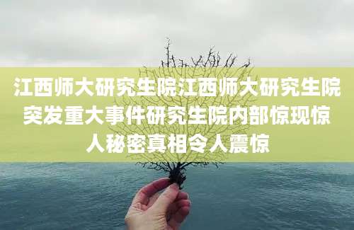 江西师大研究生院江西师大研究生院突发重大事件研究生院内部惊现惊人秘密真相令人震惊